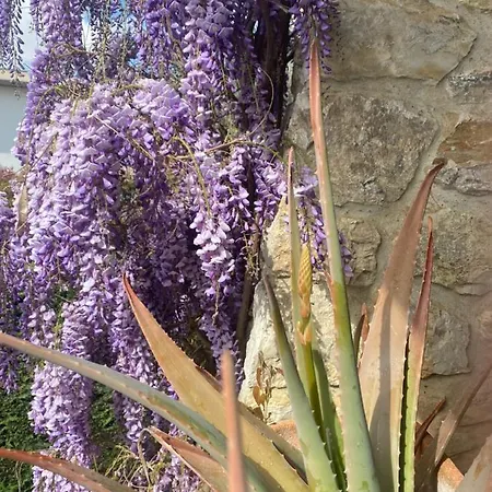 Bed & Breakfast Fior Di Toscana Serravalle Pistoiese