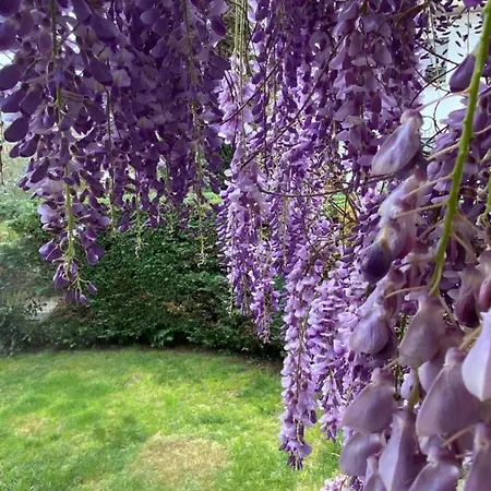 Bed & Breakfast Fior Di Toscana Serravalle Pistoiese