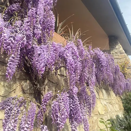 Fior Di Toscana * Serravalle Pistoiese